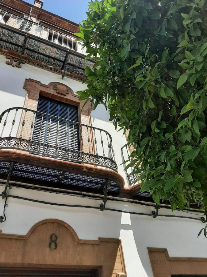 'Suite Magallanes' Apartamento Cool En El Verdadero Centro De Sevilla Ngoại thất bức ảnh